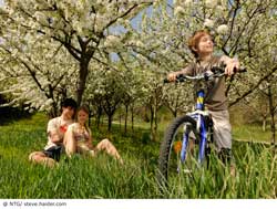 Rast unter Kirschbäumen