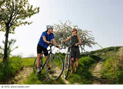 auf dem Kirschblütenradweg