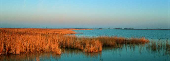 Foto Neusiedler See
