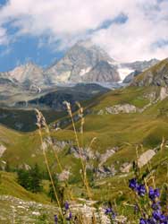 Blick auf Großglockner