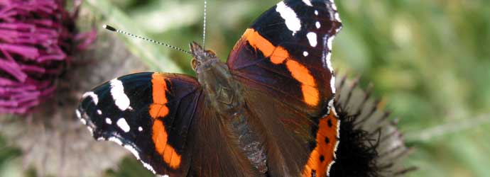 Foto Radtour von Egg in den Hinteren Bregenzerwald
