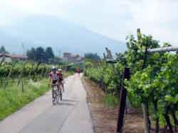 im Trentino