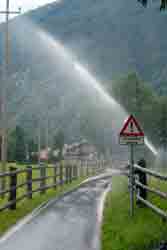 nette Erfrischung durch die Obstwiesen-Bewässerung